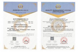 沧州市豆奶app钢管有限公司QMS15英文